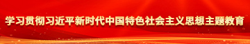 操大鸡巴在线学习贯彻习近平新时代中国特色社会主义思想主题教育